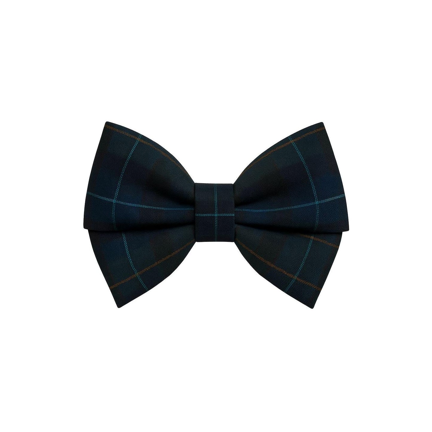 Hair Bow - Small [1693]
