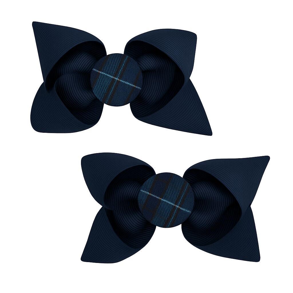 Hair Barrettes [1624]
