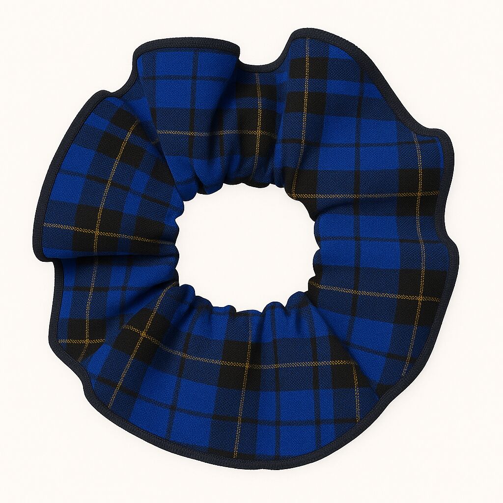 Hair Scrunchie [1662]